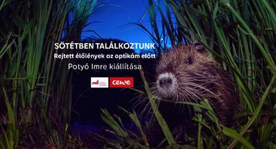 Sötétben találkozunk | Potyó Imre fotókiállítása Sötétben találkozunk | Potyó Imre fotókiállítása