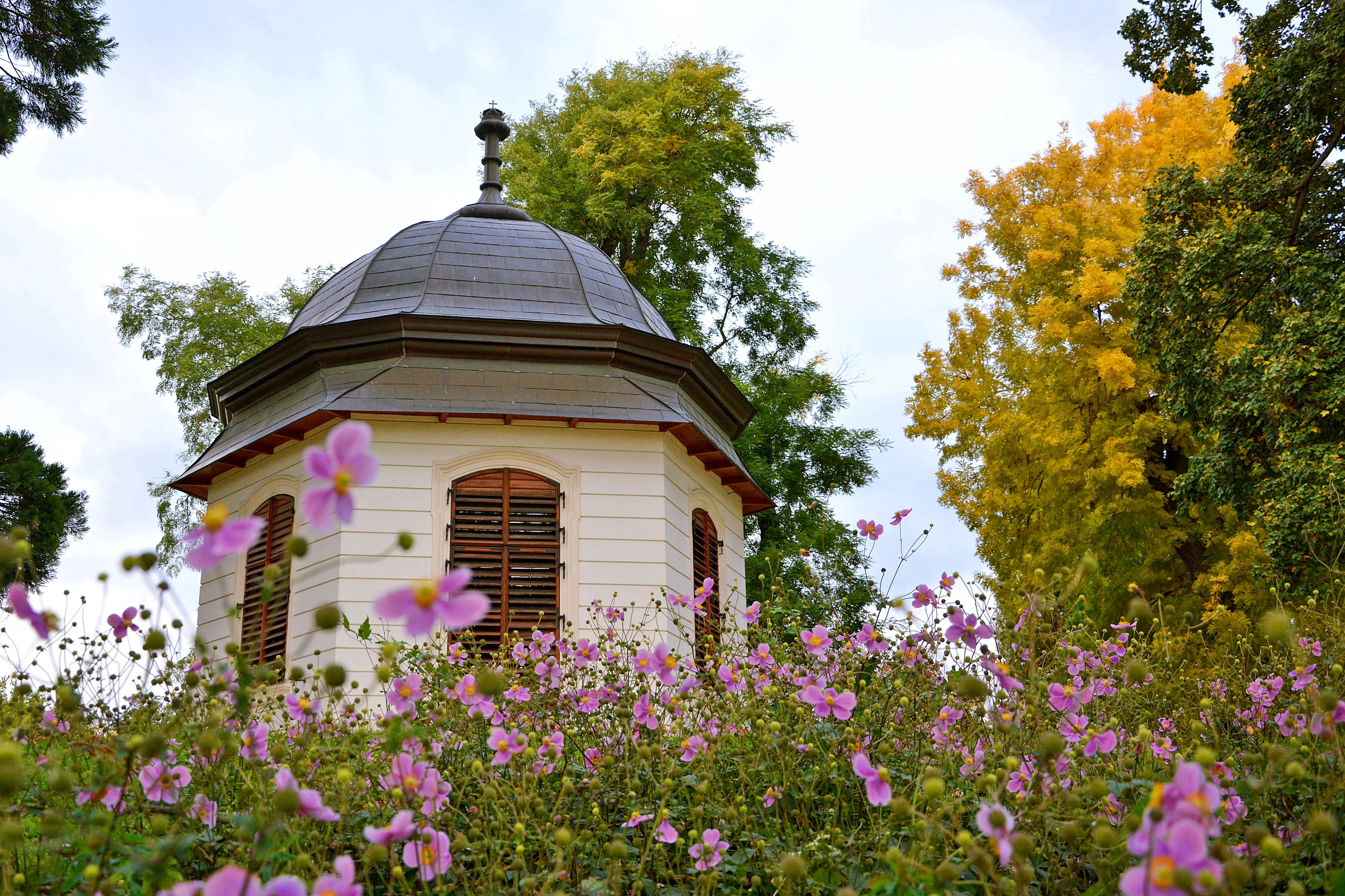 Királydombi pavilon
