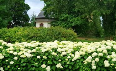 Der Pavillon auf dem Königshügel #33043