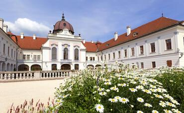 Die Galerie #32918