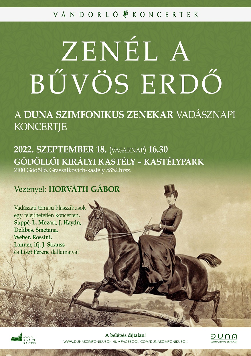 Zenél a bűvös erdő