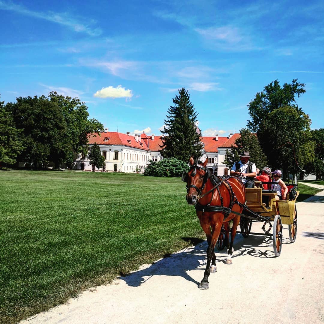 Hintózás a parkban
